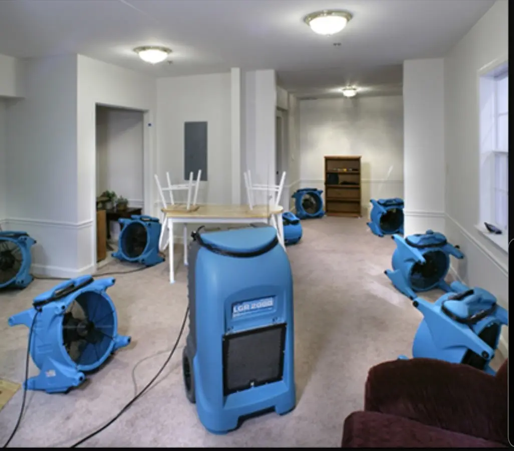 Air movers and dehumidifier setup for Water Extraction & Removal in Enterprise