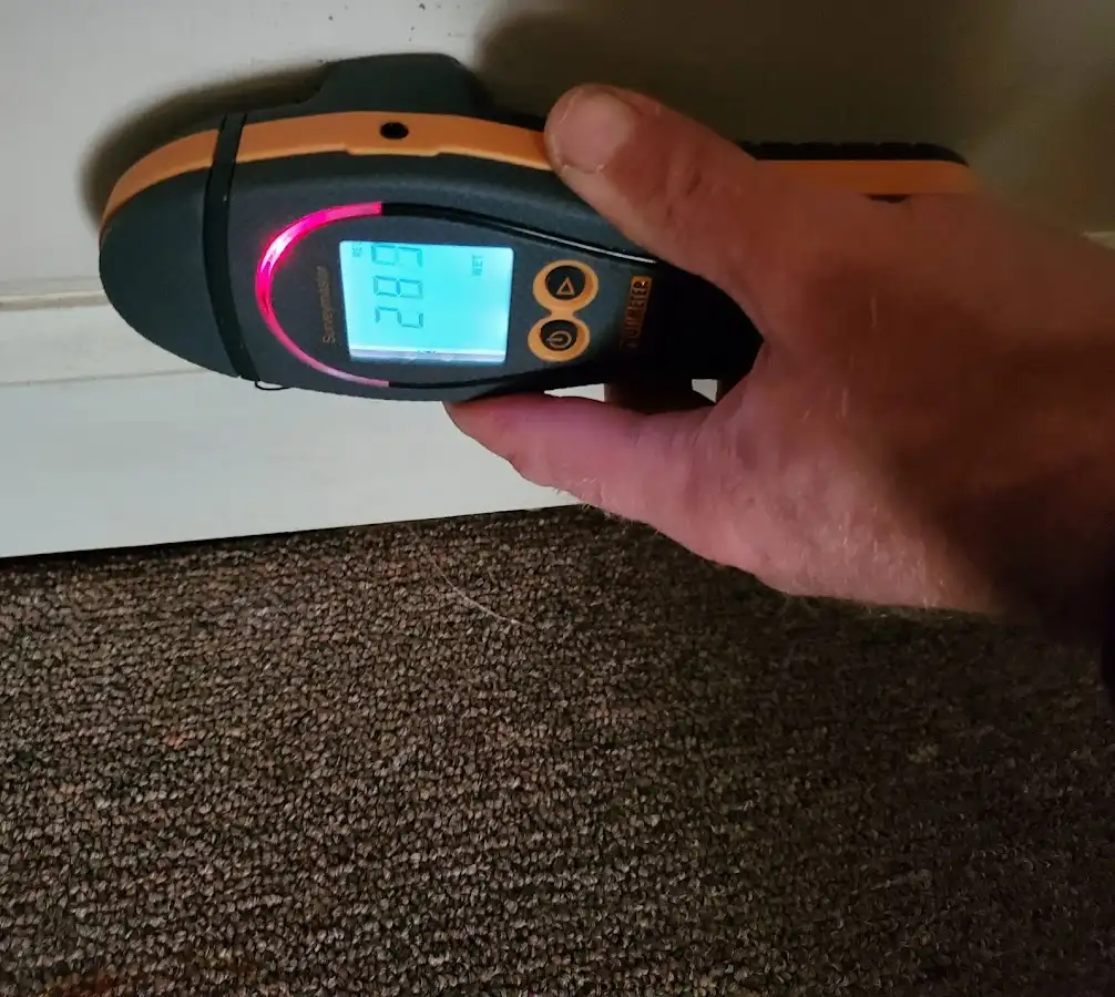 Moisture detection at baseboard during Sewage Cleanup & Sanitation in Enterprise